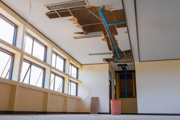 Best Residential water damage restoration  in Lone Tree, IA
