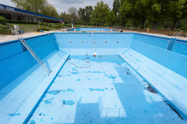Best Local water damage restoration  in Lone Tree, IA