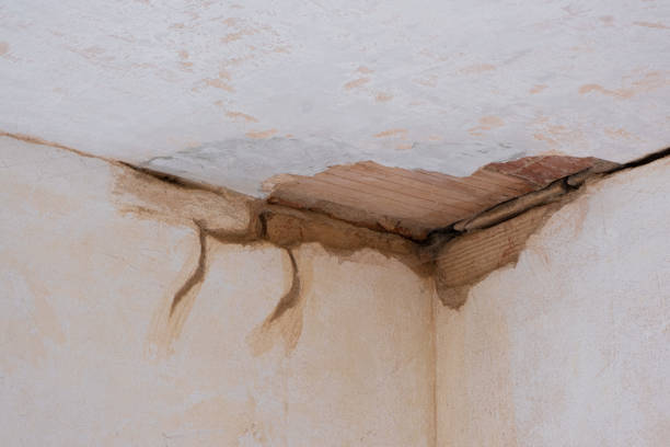 Best Commercial water damage restoration  in Lone Tree, IA