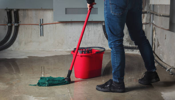  Lone Tree, IA Water damage restoration Pros