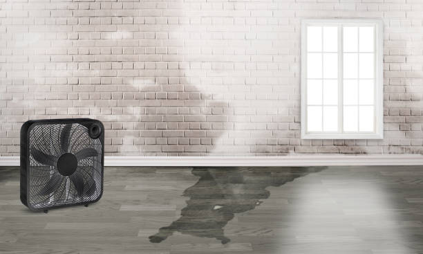 Best 24-hour water damage restoration  in Lone Tree, IA