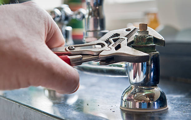 Best Water damage mitigation services  in Lone Tree, IA
