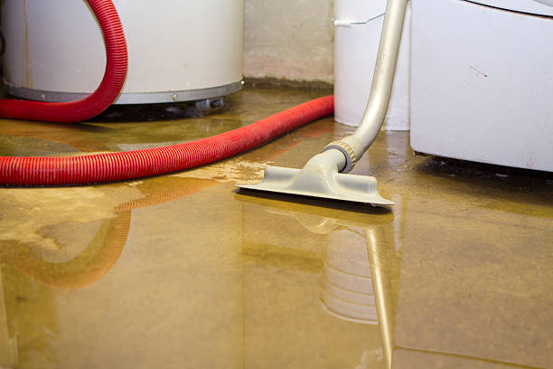 Best Flooded house restoration  in Lone Tree, IA