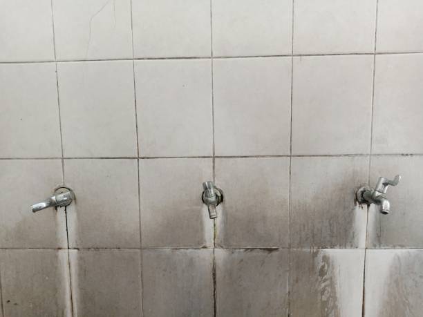 Best Water damage restoration services  in Lone Tree, IA