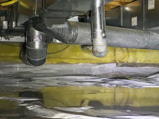 Best Mold removal after water damage  in Lone Tree, IA