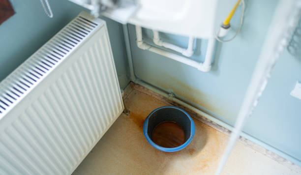Best Water damage restoration near me  in Lone Tree, IA
