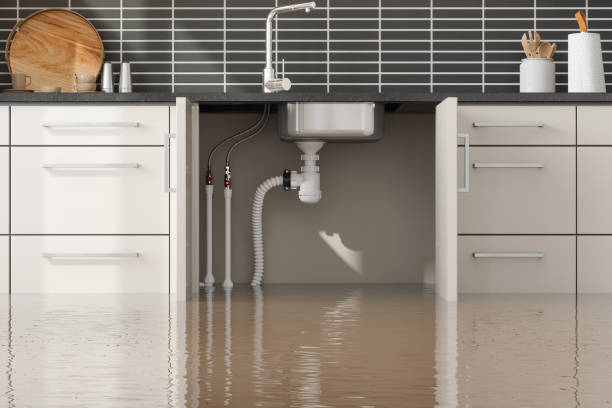Best Flood damage cleanup  in Lone Tree, IA