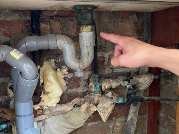 Best Water damage cleanup near me  in Lone Tree, IA