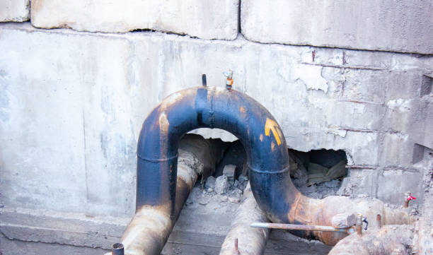 Best Basement water damage restoration  in Lone Tree, IA
