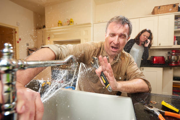 Best Flood restoration services  in Lone Tree, IA
